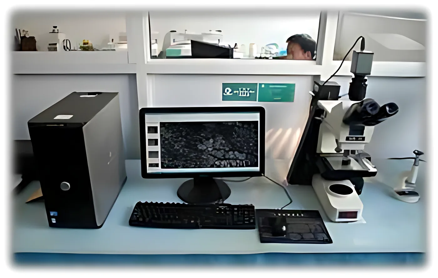 Image analysis